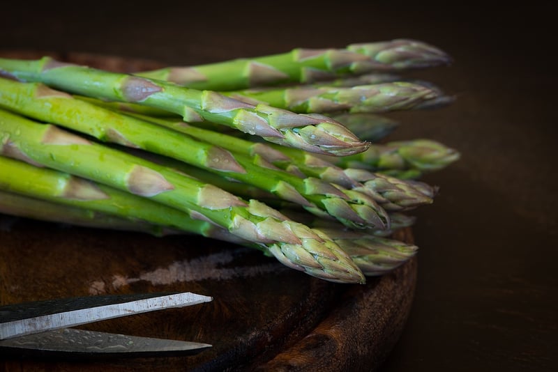 Fresh Harvest Recipes